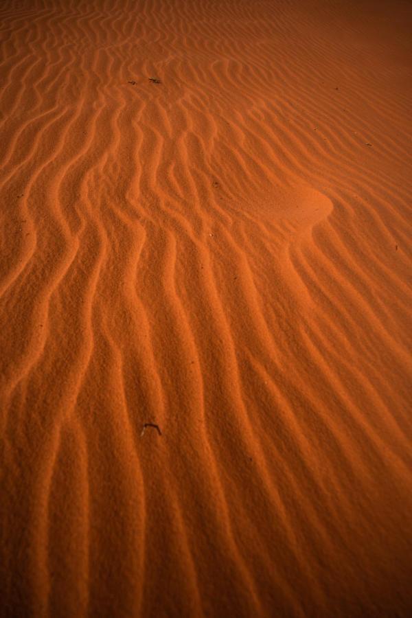 Stars Life Camp-Tour Hotel Wadi Rum Exterior foto